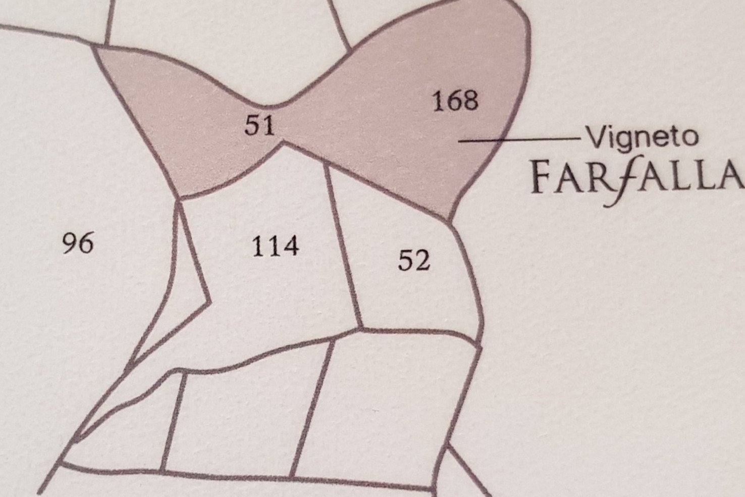 Farfalla Ballabio Spumante